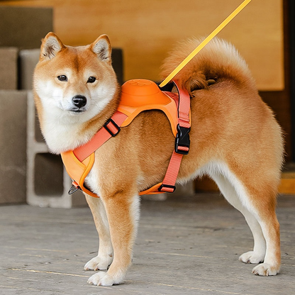 Dog Safety Harness