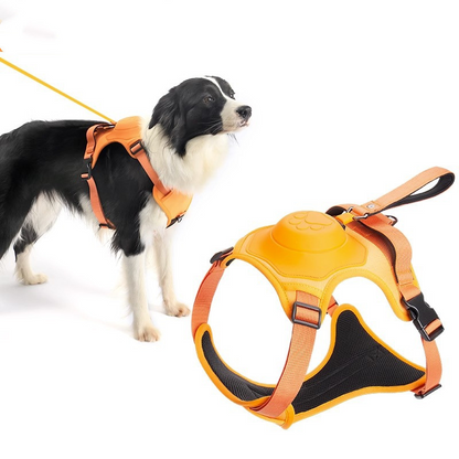 Dog Safety Harness