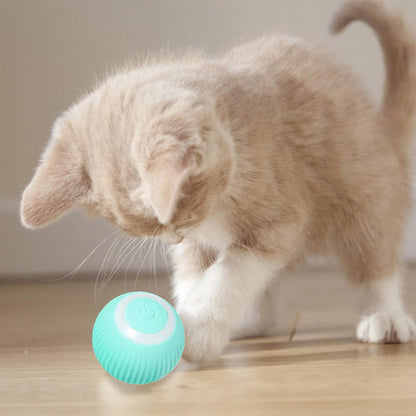 Smart Electric Cat Ball 2.0