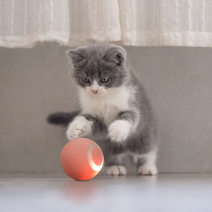 Smart Electric Cat Ball 2.0