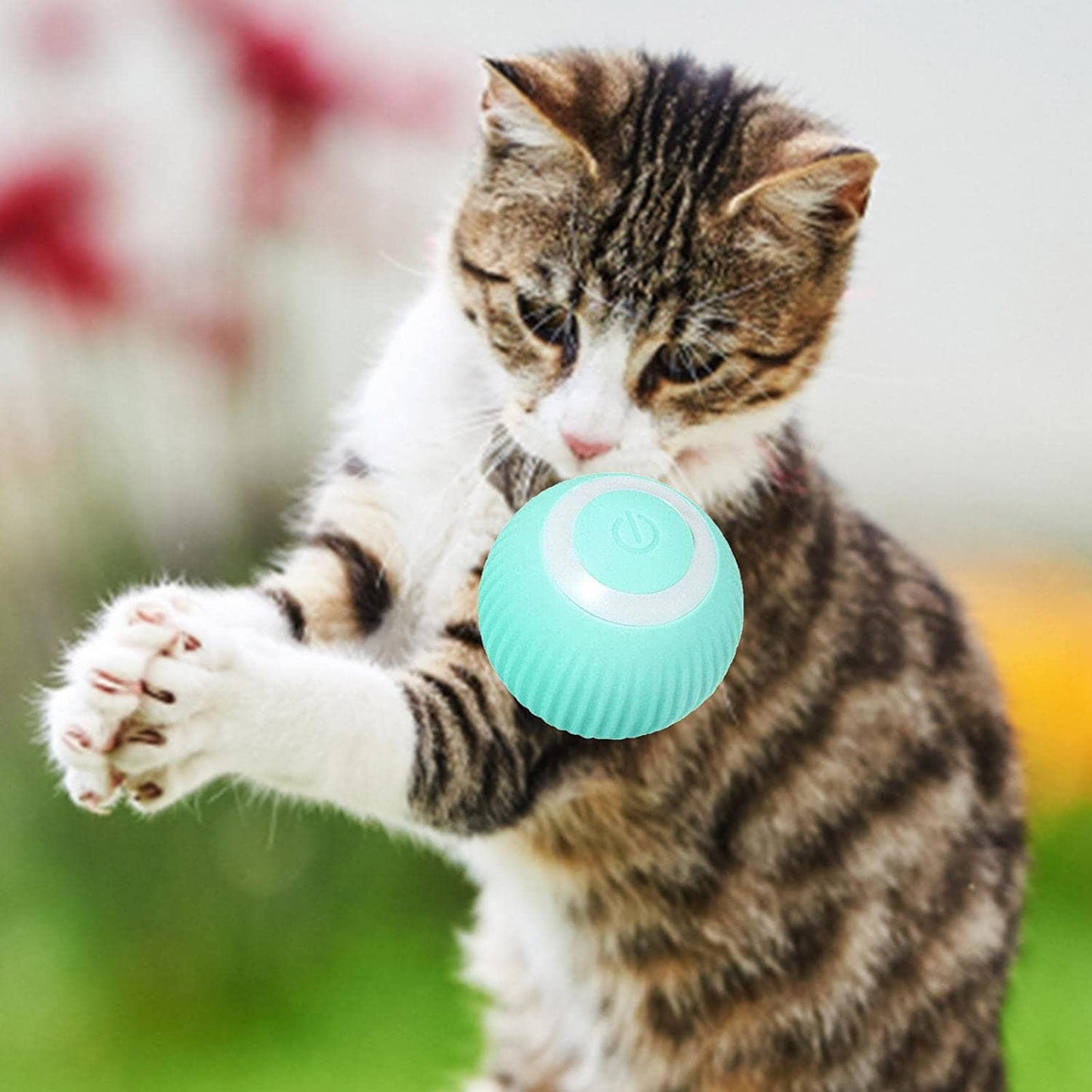 Smart Electric Cat Ball 2.0