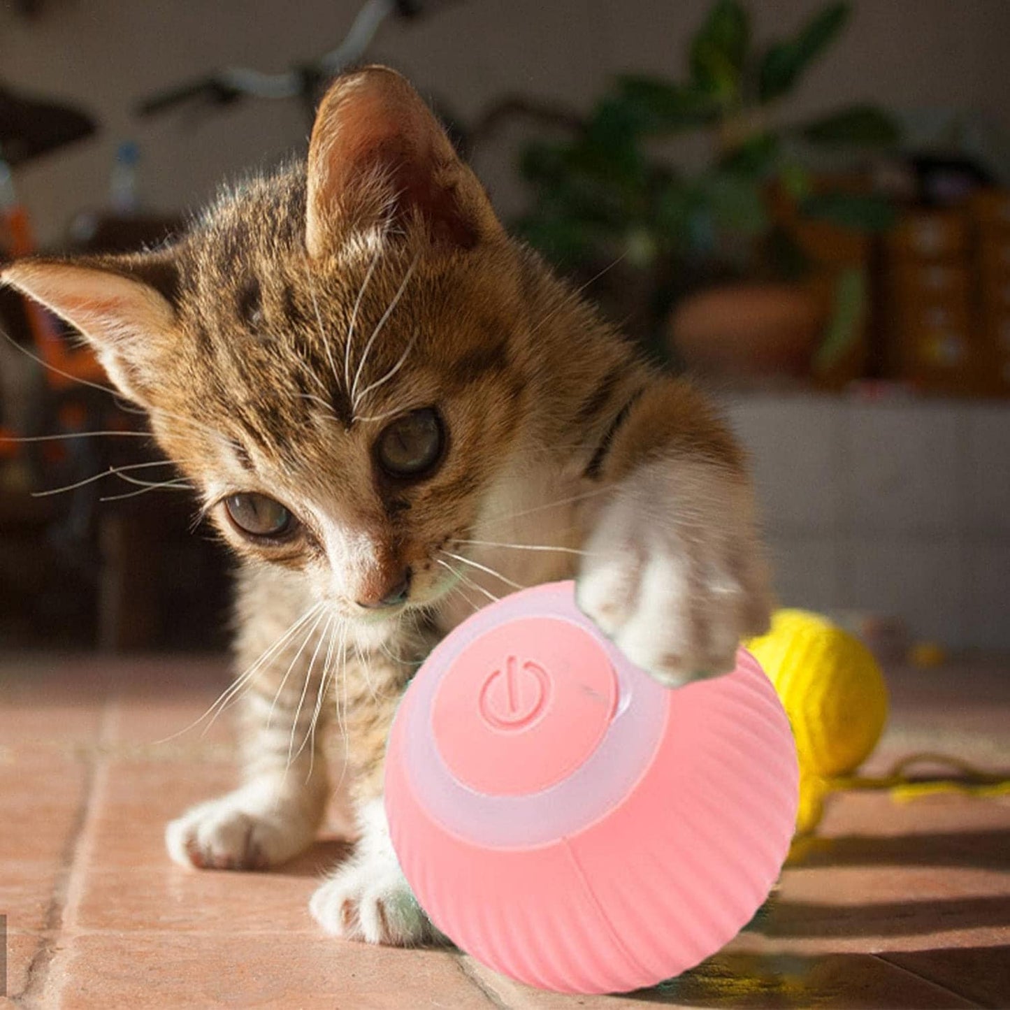 Smart Electric Cat Ball 2.0